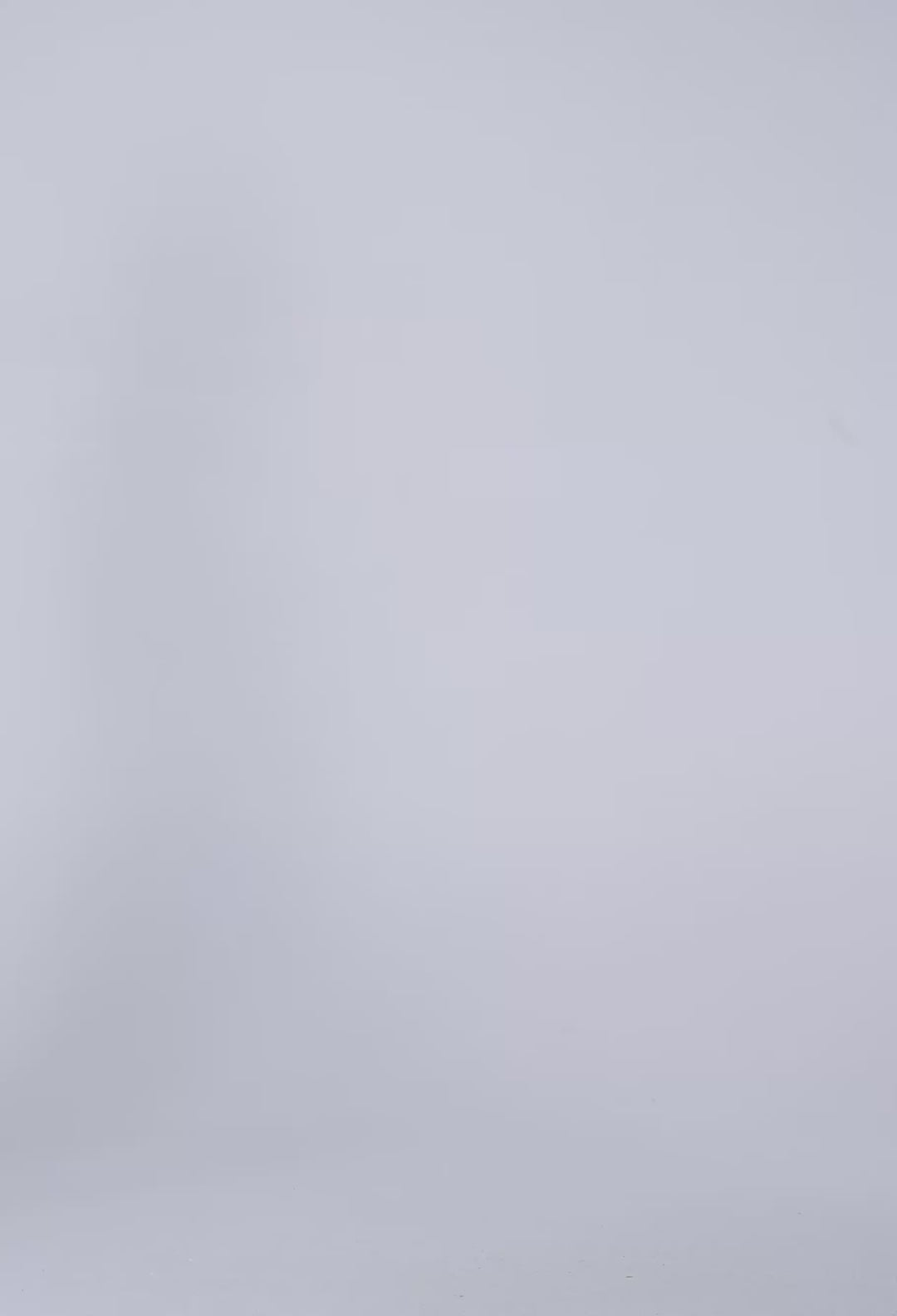 Calandra Viscose Yoryu Flutter Sleeve Top in Petinos Floros