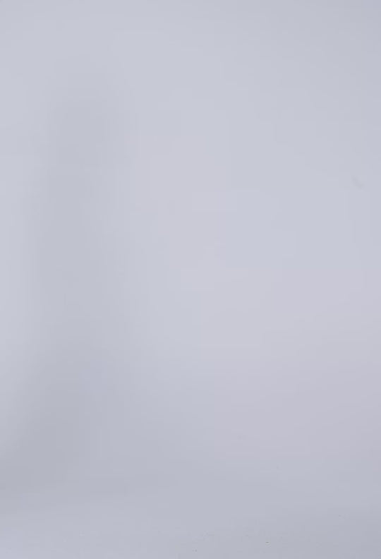 Calandra Viscose Yoryu Flutter Sleeve Top in Petinos Floros